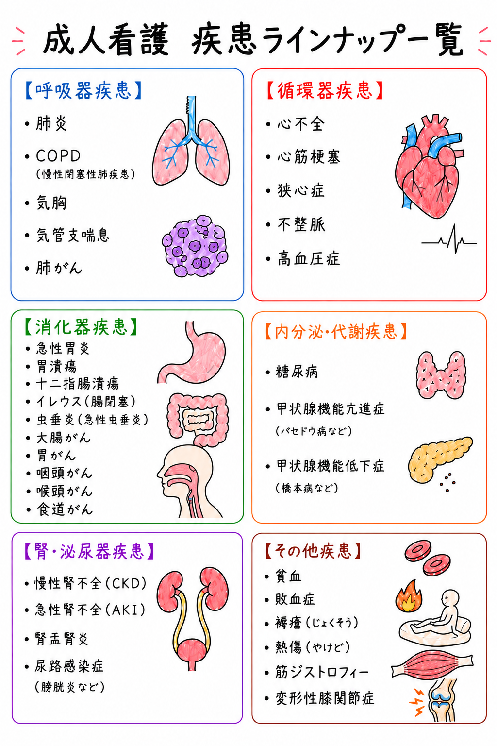 成人看護の疾患ラインナップ画像。詳しい疾患名は下の検索できる一覧にも掲載。