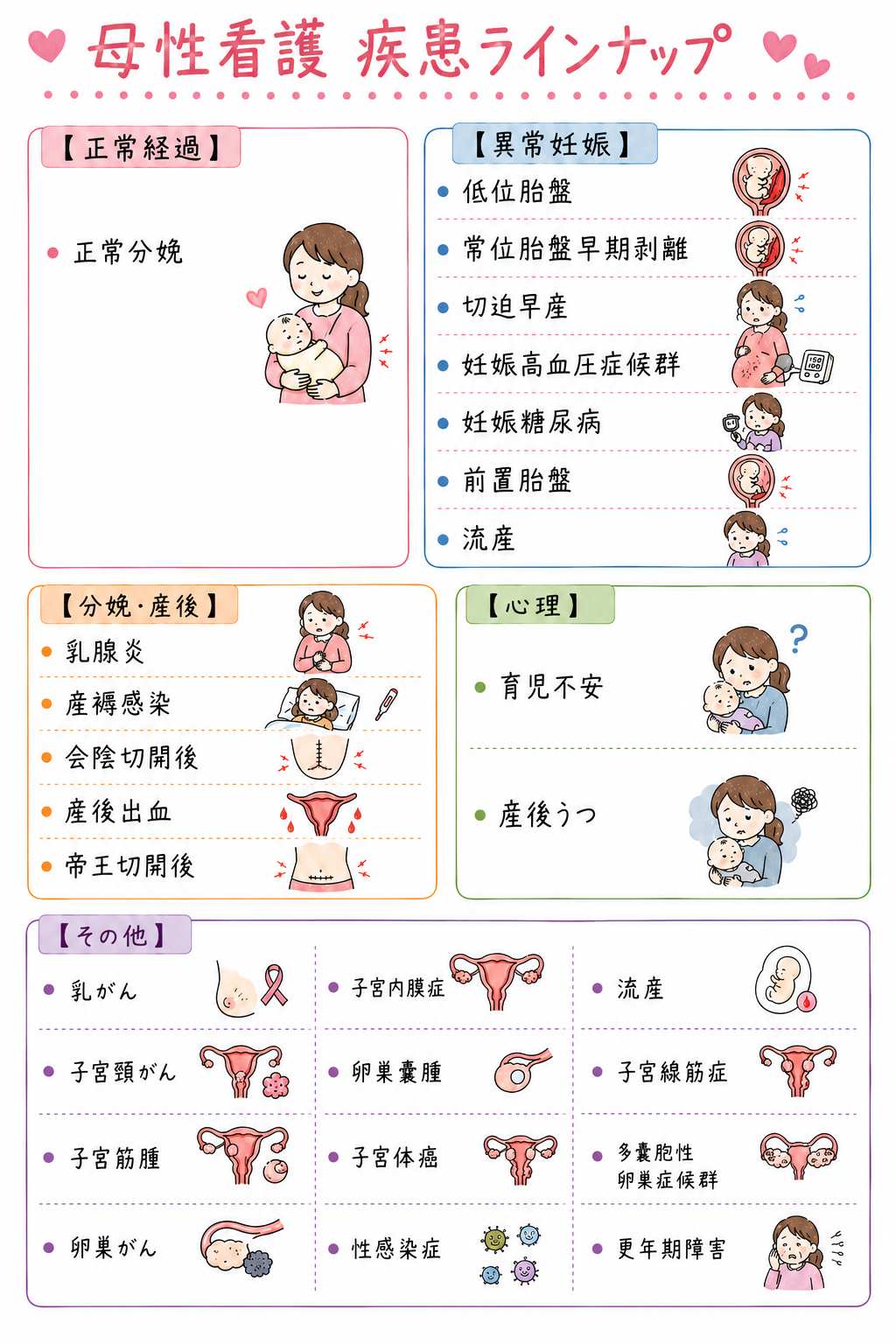 母性看護の疾患ラインナップ画像。詳しい疾患名は下の検索できる一覧にも掲載。