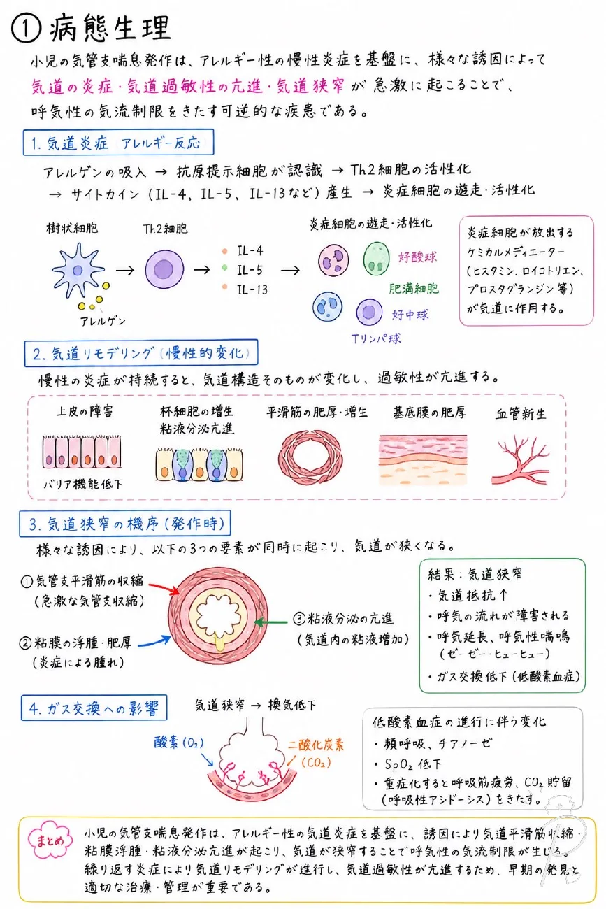 小児気管支喘息の病態生理を図解した実際のページ。